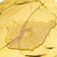 ⏳Limited-time 50% off⏰Weather Resistant Water-based Gold Paint💛