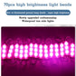 ✨Super Bright Waterproof LED Lamp Truck Sidelight Strip